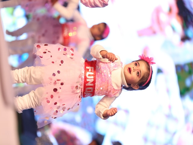 Silver Jubilee CelebrationSant Nischal Singh Public School, Ladwa