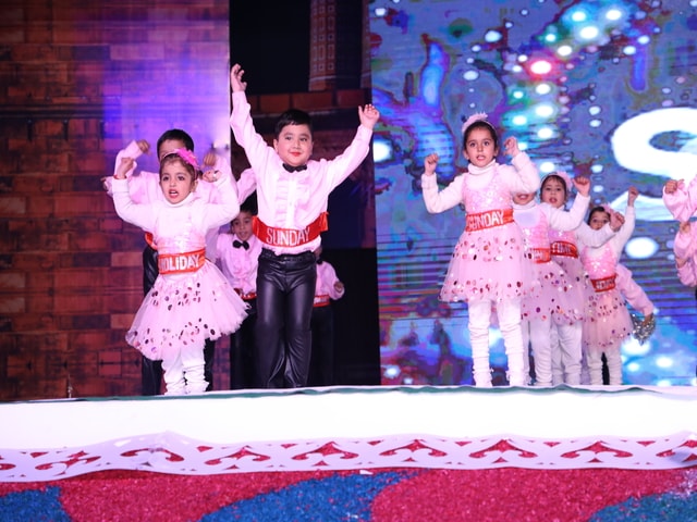 Silver Jubilee CelebrationSant Nischal Singh Public School, Ladwa