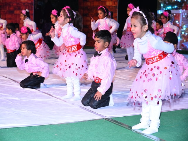Silver Jubilee CelebrationSant Nischal Singh Public School, Ladwa